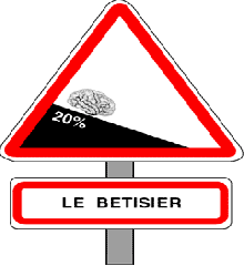 Image du Betisier de l'IUT du Limousin